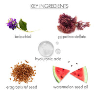 whish beauty Neck Firming Complex with Bakuchiol
