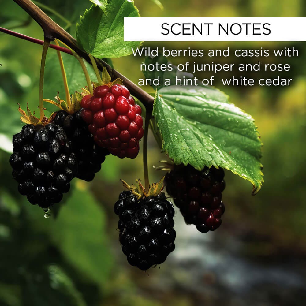 whishbeauty Blackberry Sage Super Cream with Bakuchiol - LIMITED EDITION