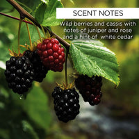 whishbeauty Blackberry Sage Super Cream with Bakuchiol - LIMITED EDITION