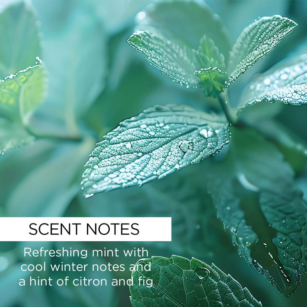 whishbeauty Body Care > Lip Treatment > Lip Balm Wild Mint Lip Balm with Bakuchiol