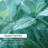 whishbeauty Body Care > Lip Treatment > Lip Balm Wild Mint Lip Balm with Bakuchiol