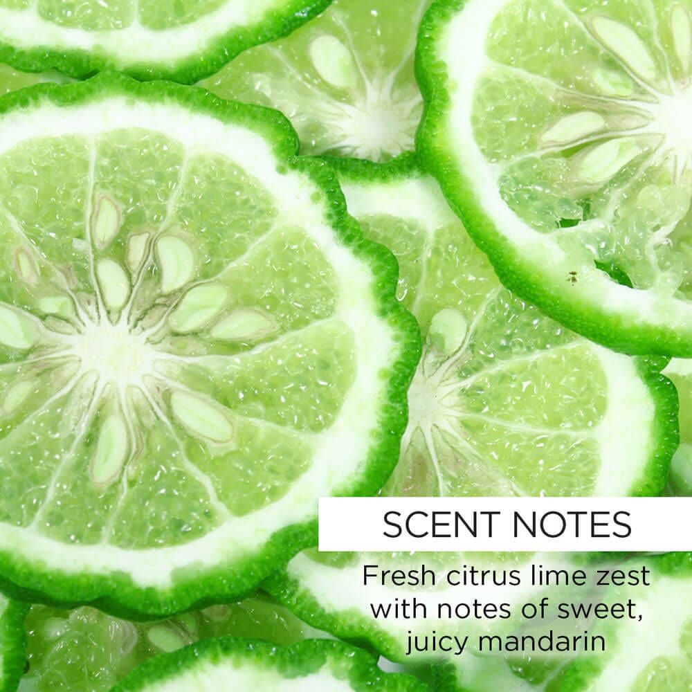 whishbeauty Body Care > Self Tan & Glow French Lime + Bergamot Luminous Body Oil - LIMITED EDITION