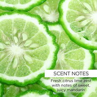 whishbeauty Body Care > Self Tan & Glow French Lime + Bergamot Luminous Body Oil - LIMITED EDITION