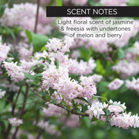 whish beauty A+B+C Magic Serum