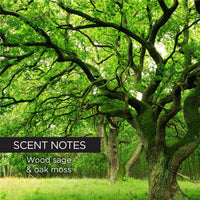 whish beauty Aftershave Gel For Face & Body - Whish Golf Club