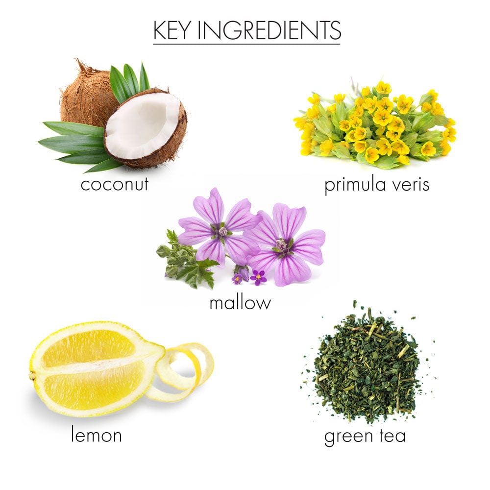 whish beauty Body Care > Hand and Foot Treatment Coconut Milk + Verbena Hand Remedy