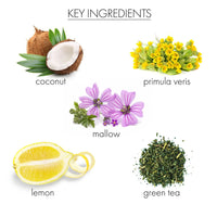 whish beauty Body Care > Hand and Foot Treatment Coconut Milk + Verbena Hand Remedy