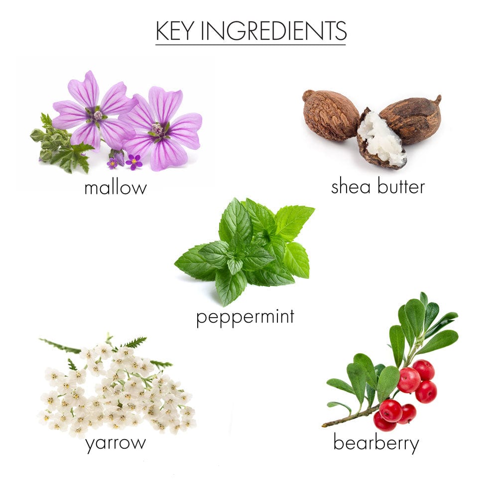 whish beauty Body Care > Self Tan & Glow Coconut Milk+Verbena CC Body Cream