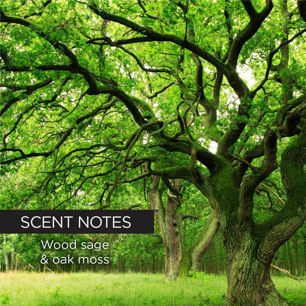 whish beauty Charcoal Soap - Whish Golf Club