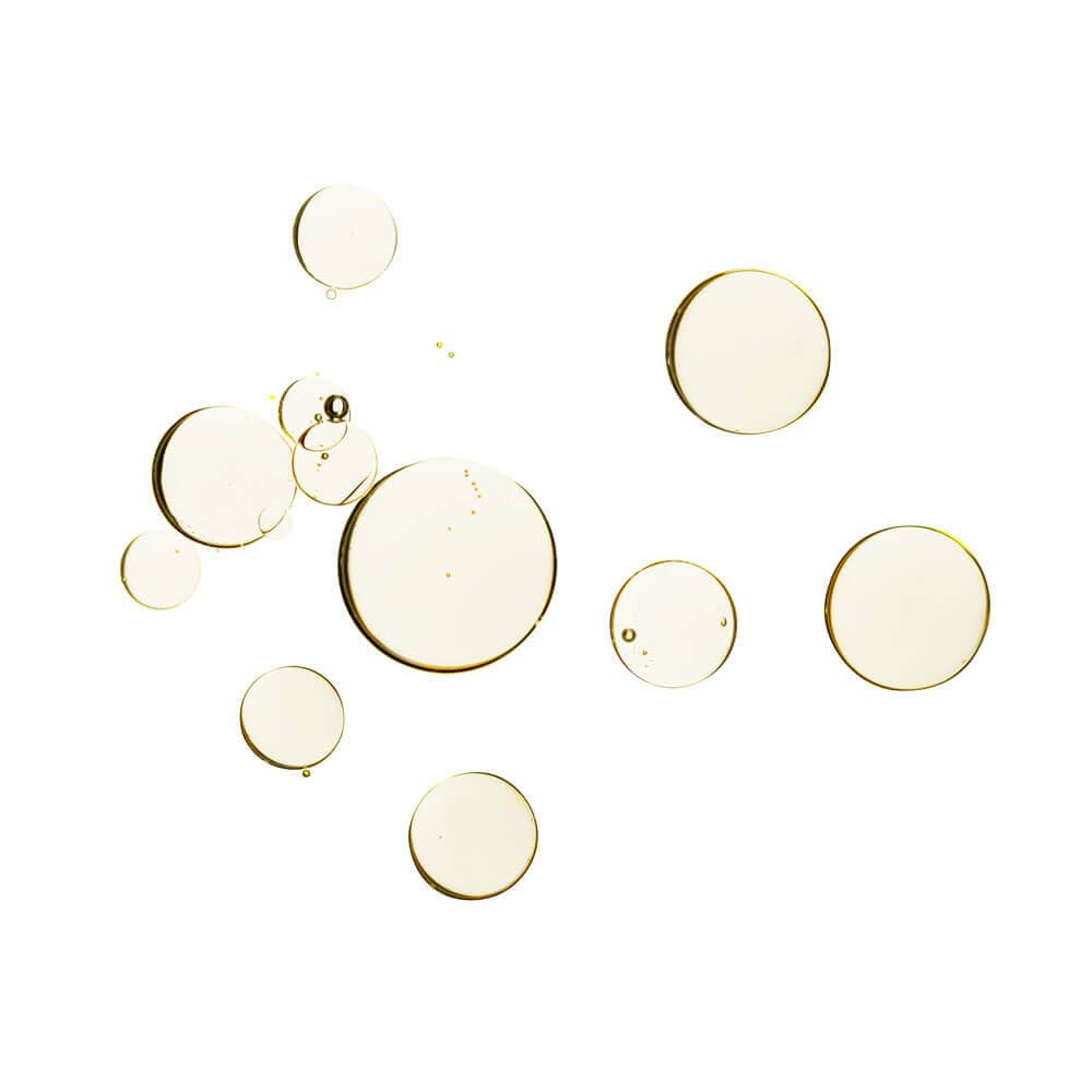 whish beauty Founder's Vault Bakuchiol Boosting Drops
