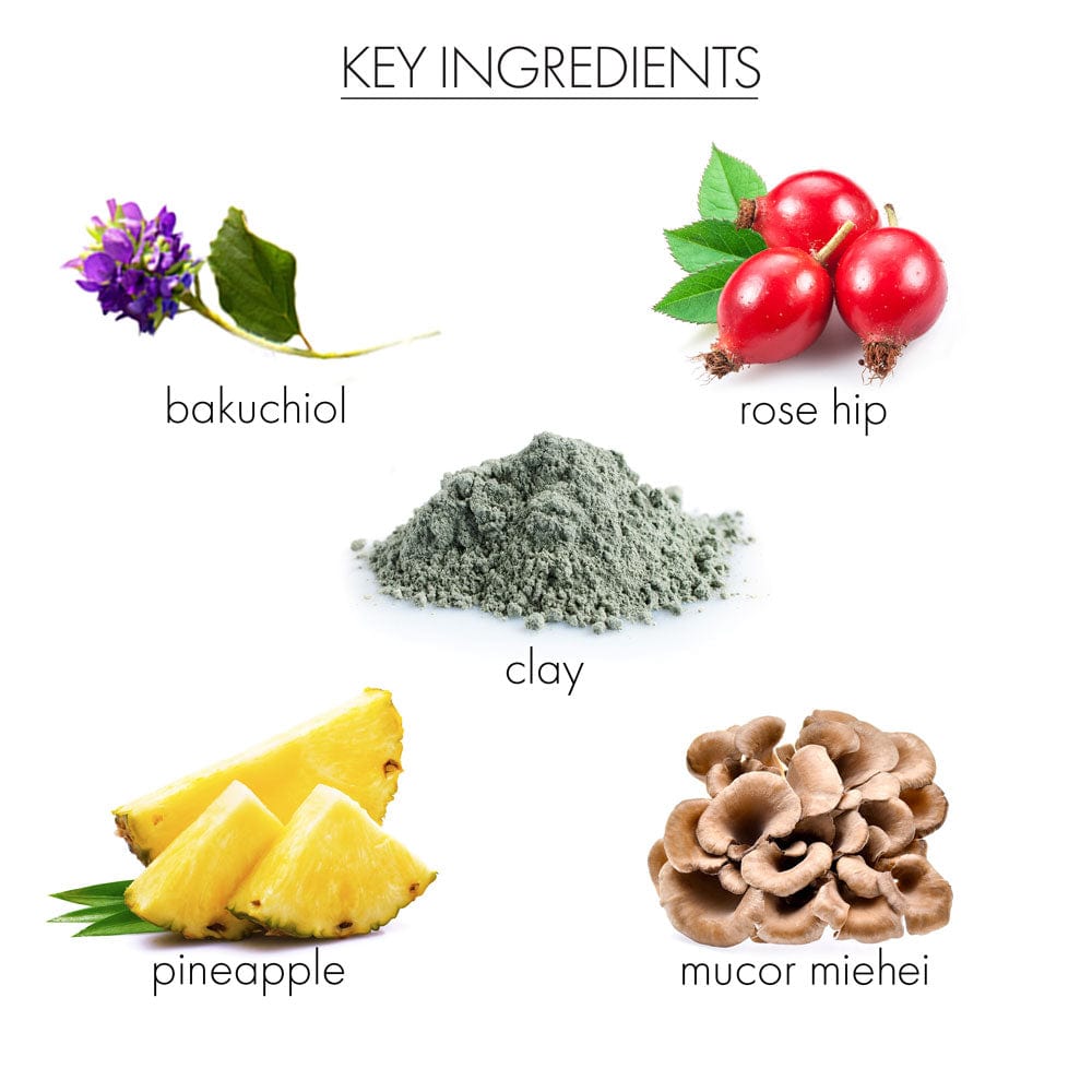 whish beauty Skin Care > Masks > Mud Mask Renewing Mud Mask with Bakuchiol