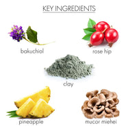 whish beauty Skin Care > Masks > Mud Mask Renewing Mud Mask with Bakuchiol