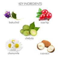 whish beauty Skin Care > Moisturizers Moisture Replenishing Day Cream with Bakuchiol