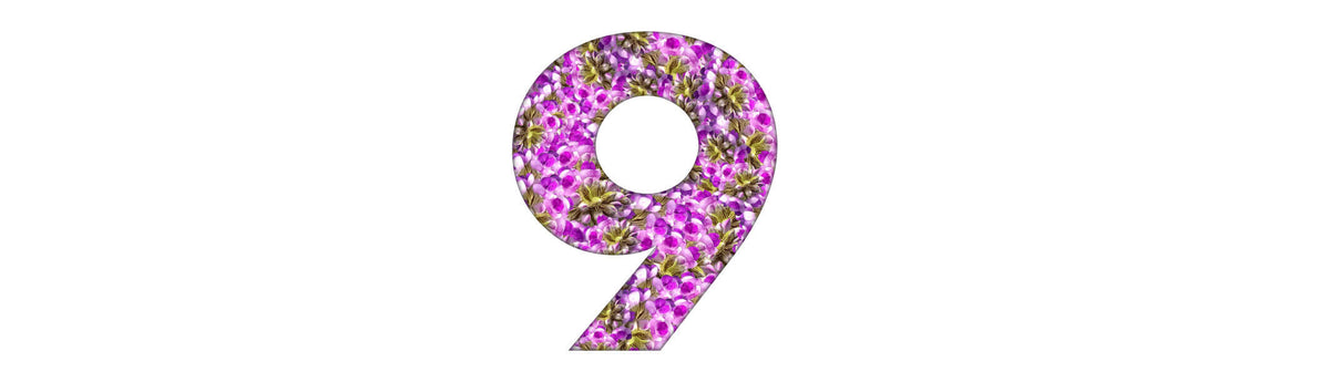 A Natural No-Brainer: 9 Reasons to Choose Bakuchiol Over Retinol