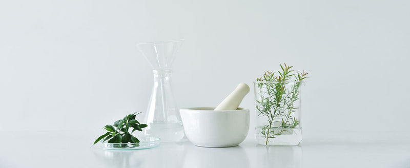 Natural Retinol Replacements: Bakuchiol and Other Natural Sources for Retinol Alternatives