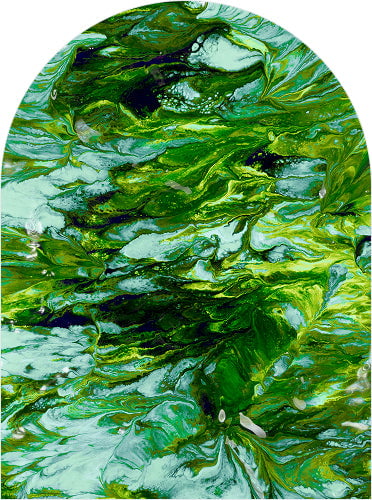 Algae Extract (Seaweed)