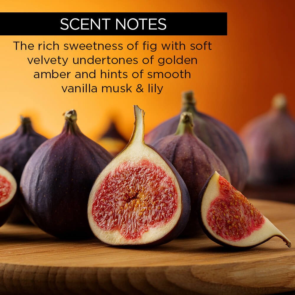 whishbeauty Body Care > Body Moisturizers > Body Butters Frosted Fig + Vanilla Body Butter