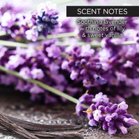 whishbeauty Body Care > Body Moisturizers > Body Butters Lavender Body Butter - JUMBO SIZE LIMITED EDITION!