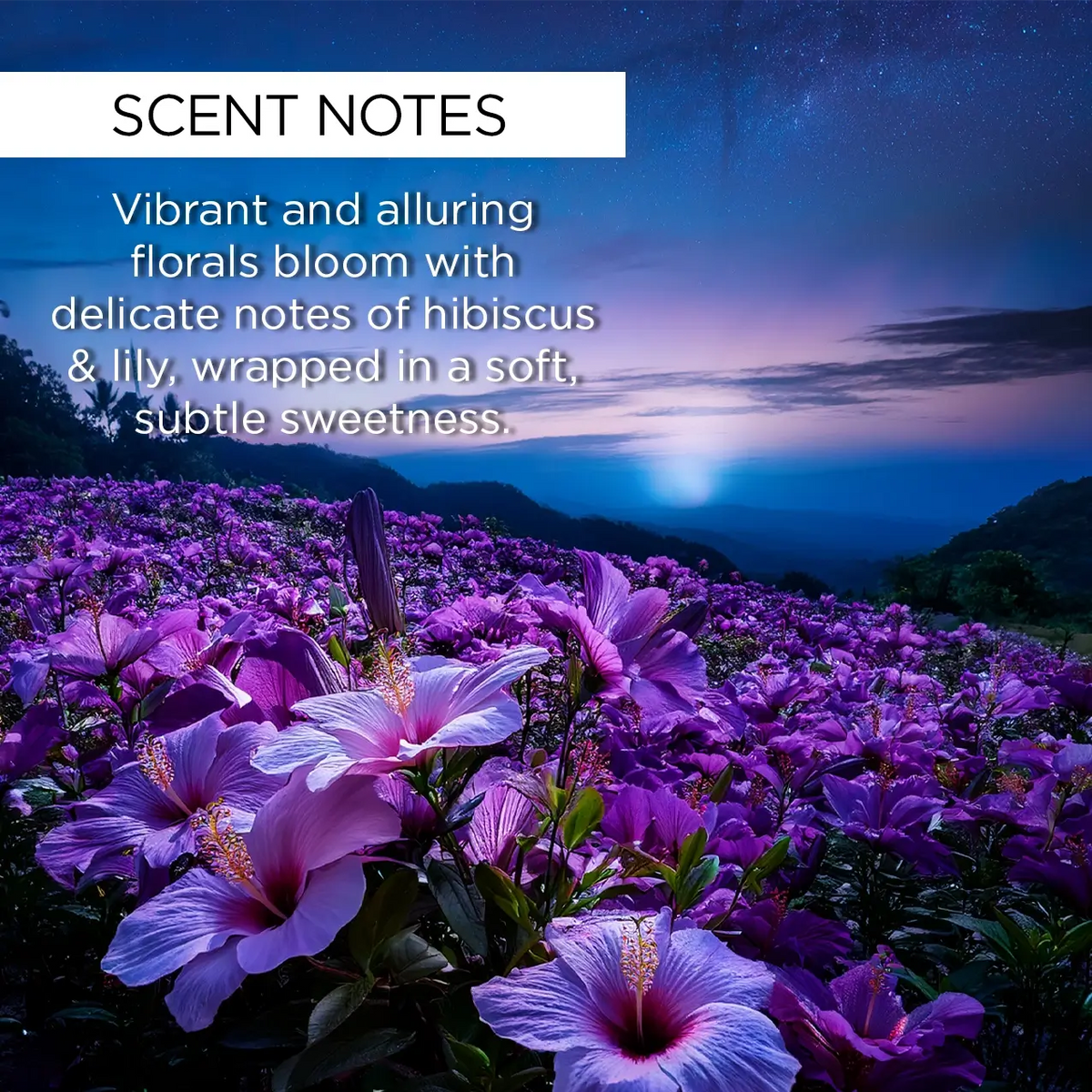 whishbeauty Body Care > Body Moisturizers > Body Butters Midnight Blooms Body Butter - LIMITED EDITION