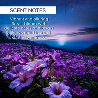 whishbeauty Body Care > Body Moisturizers > Body Butters Midnight Blooms Body Butter - LIMITED EDITION