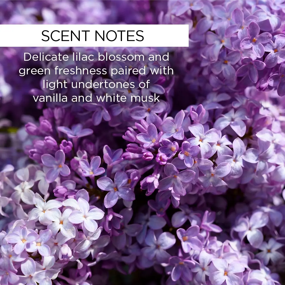 whishbeauty Body Care > Body Moisturizers > Body Butters Spring Lilac + Vanilla Body Butter