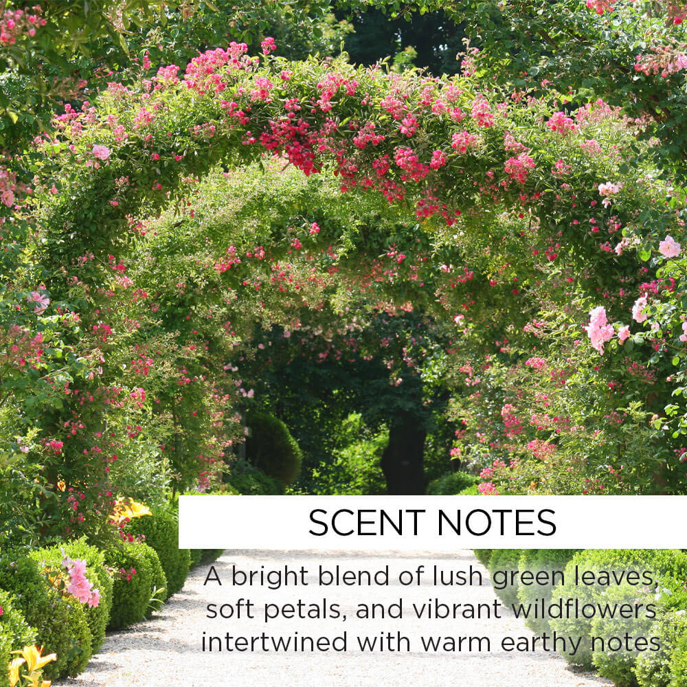 whishbeauty Body Care > Body Moisturizers > Body Butters Summer Garden Body Butter - MEGA SIZE! 40% OFF