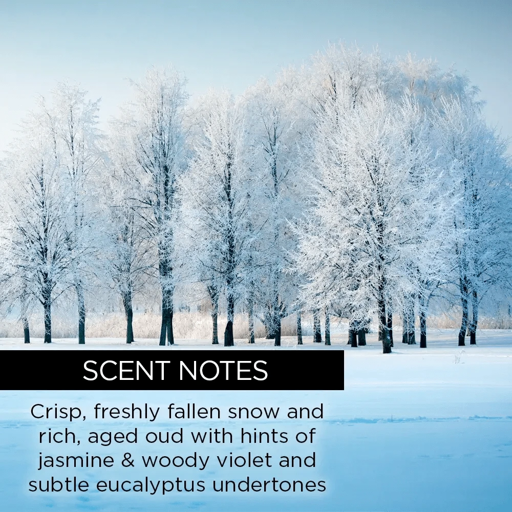 whishbeauty Body Care > Body Moisturizers > Body Butters Woodland Snow + Oud Body Butter