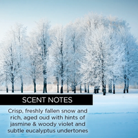 whishbeauty Body Care > Body Moisturizers > Body Butters Woodland Snow + Oud Body Butter