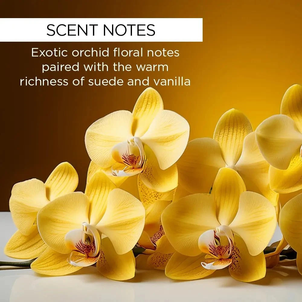 whishbeauty Body Care > Body Moisturizers Orchid Suede + Amber Body Oil + Body Butter Duo