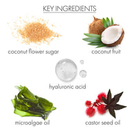 whishbeauty Body Care > Exfoliators > Sugar Scrub Frosted Fig + Vanilla Softening Sugar Scrub