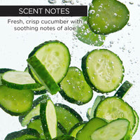 whishbeauty Body Care > Hair Removal Flawless Body Serum - Helps Moderate Hair Regrowth