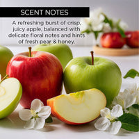 whishbeauty Body Care > Lip Treatment > Lip Balm Apple Blossom Lip Treatment Duo