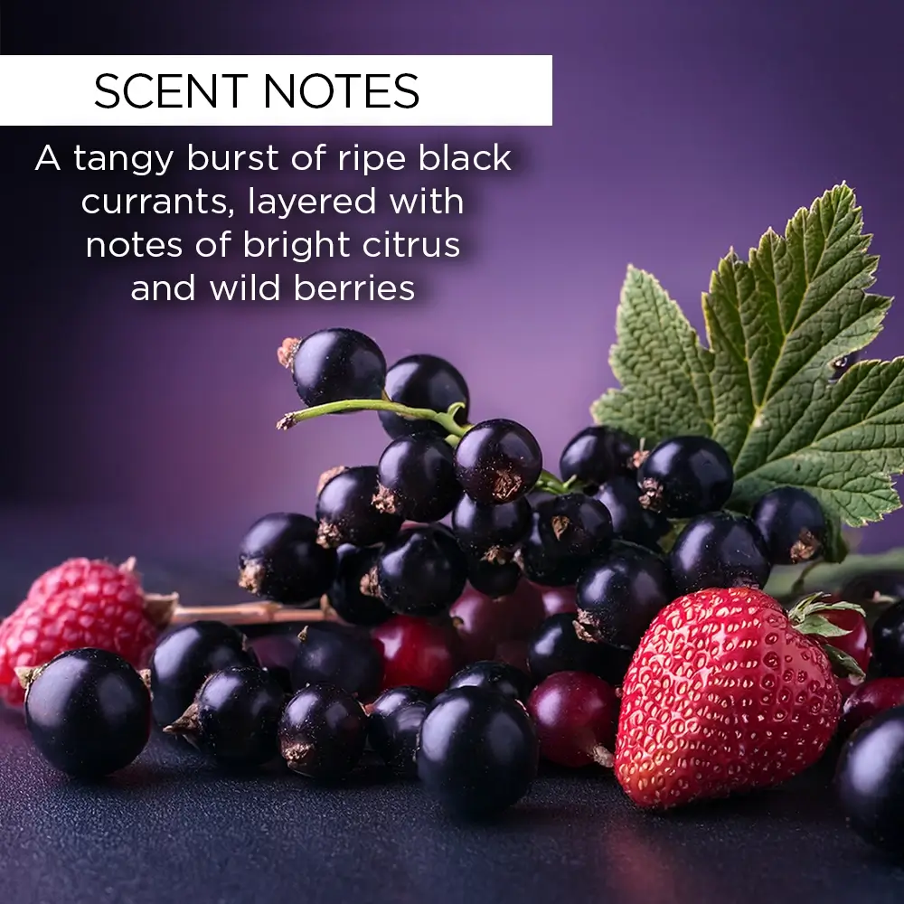 whishbeauty Body Care > Lip Treatment > Lip Balm Black Currant Lip Balm with Bakuchiol