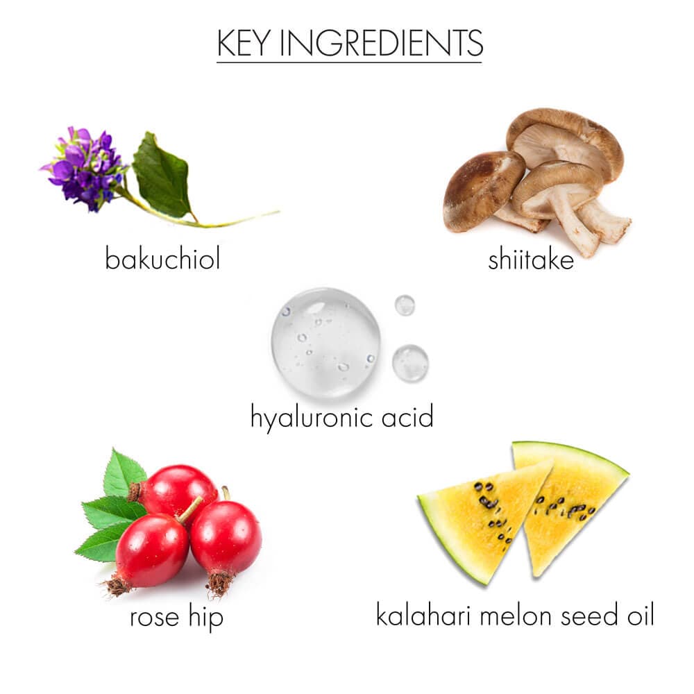 whishbeauty Skin Care > Masks > Rose Mask Overnight Sleep Mask with Bakuchiol