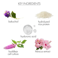 whishbeauty Skin Care > Moisturizers Hydrating Essence with Bakuchiol - Pink Champagne