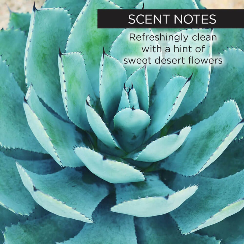 What Does Blue Agave Do to Your Body?