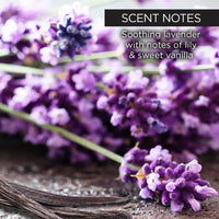 whish beauty Body Care > Exfoliators > Sugar Scrub Lavender Sugar Scrub - NEW LARGER SIZE!