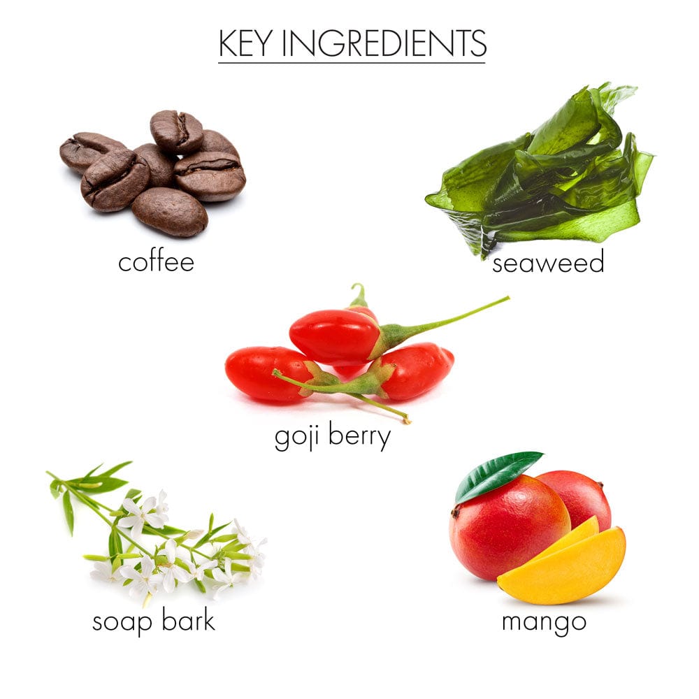 whish beauty Body Care > Self Tan & Glow > Self Tanner Coconut Milk+Verbena - Coconut Self Tanner Lotion