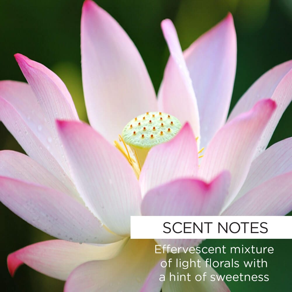 Nourishing Dew Mask-Rose Hip + Lotus - Whish