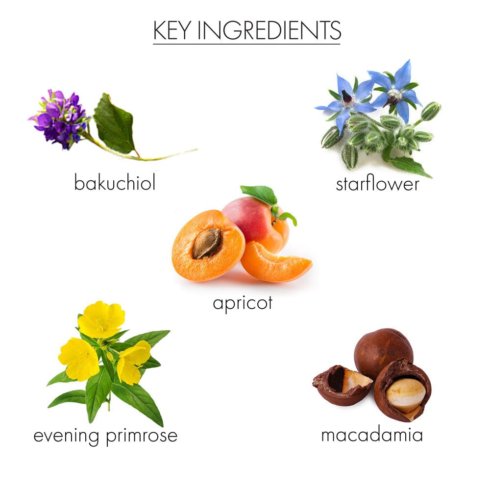 whish beauty Skin Care > Moisturizers Restoring Face Oil with Bakuchiol